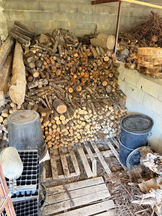 Vendo e Grátis Lanha de Oliveira, Castanheiro, Plátano, Eucalipto: