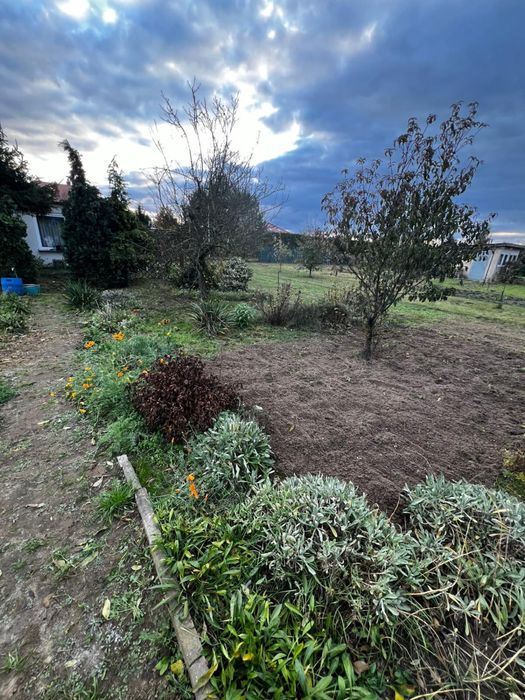 Działka ROD – Wolsztyn, ogród nr 2