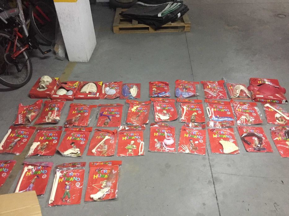 34 peças de um esqueleto