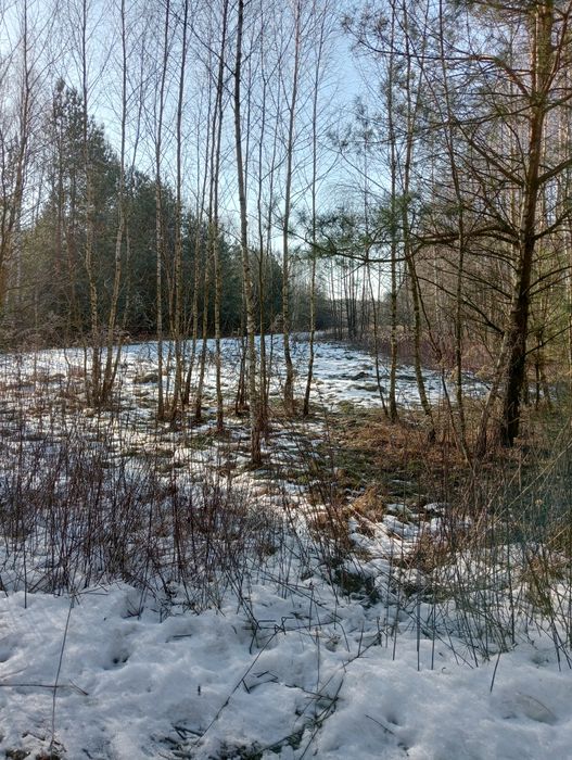 Działka rolna 5600m2 Sionna