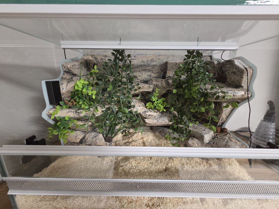 Sprzedam terrarium