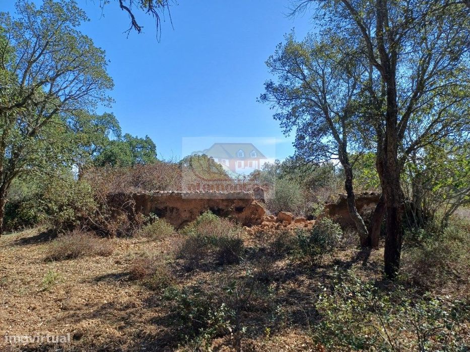 Propriedade com 73 ha com várias ruínas para recuperar a 20 minutos...