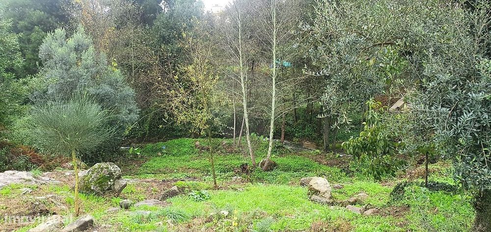 Terreno  para venda