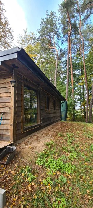 Domek "Na koncu swiata" z jacuzzi w lesie