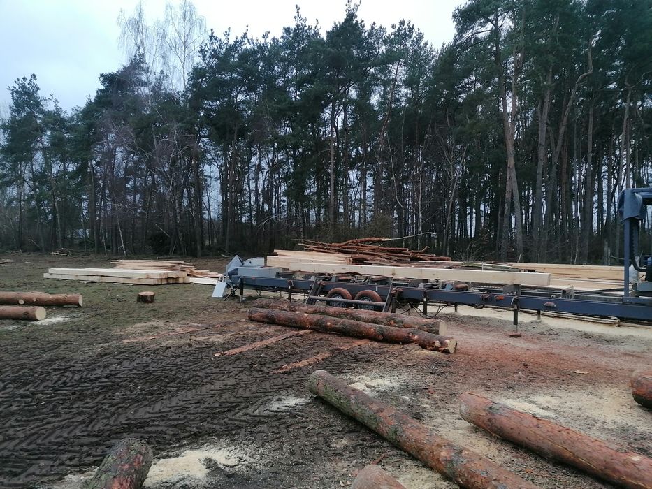 Trak taśmowy mobilny obwozny