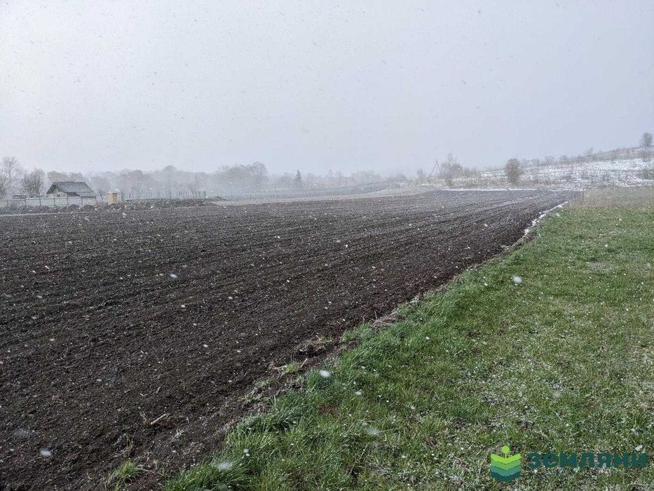 Продаж землі 32,87 сотки в с.Клубівці під забудову (5)