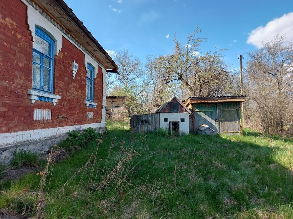 Будинок в Басаличівці