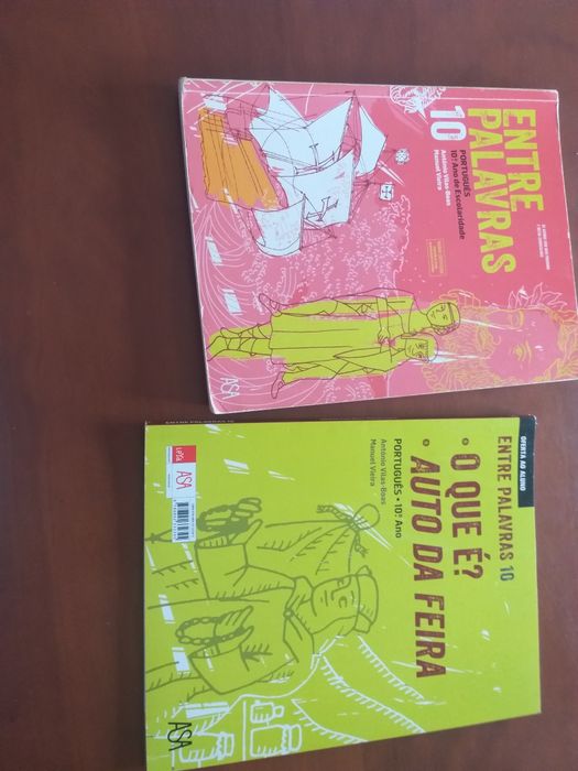 Manuais e cadernos de atividades do 10 ano.