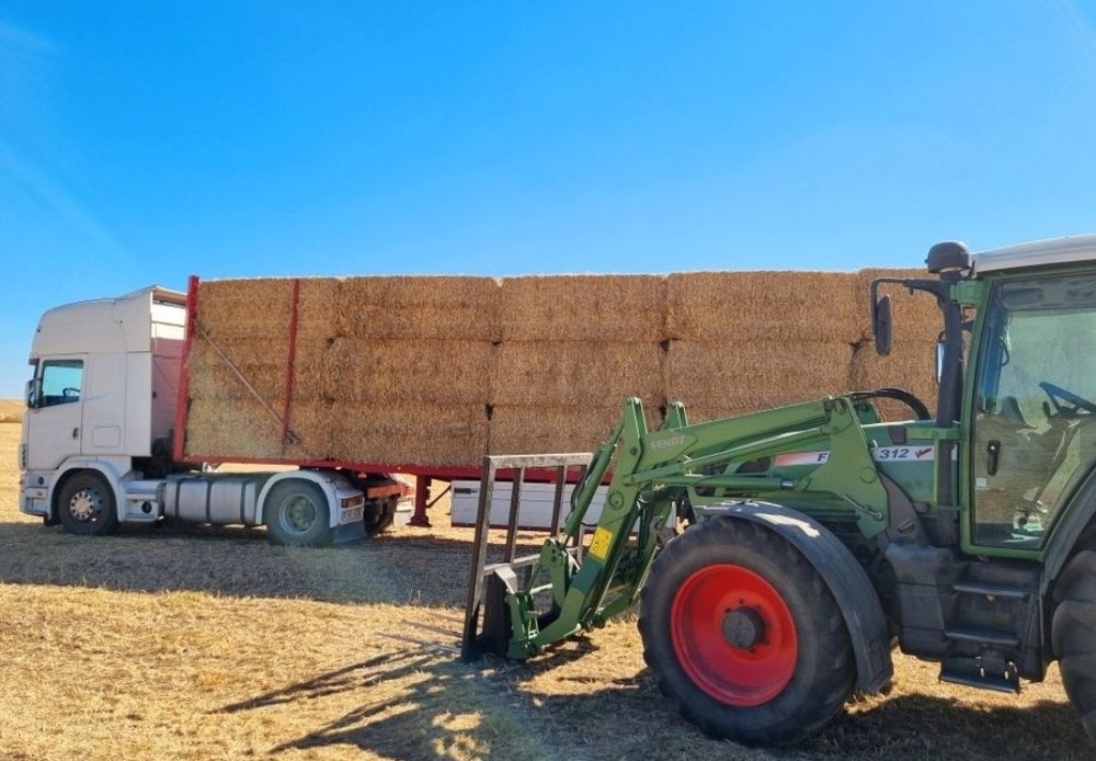 Vende-se Feno 140/ton