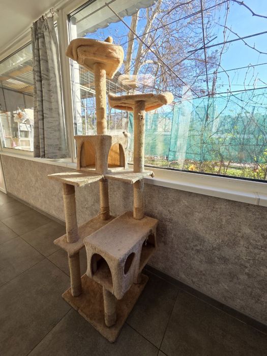 Когтеточка-домик  для кошек