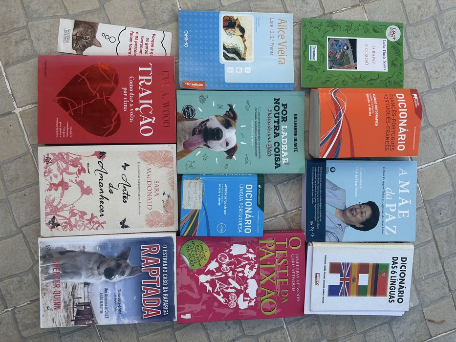 Livros e dicionarios