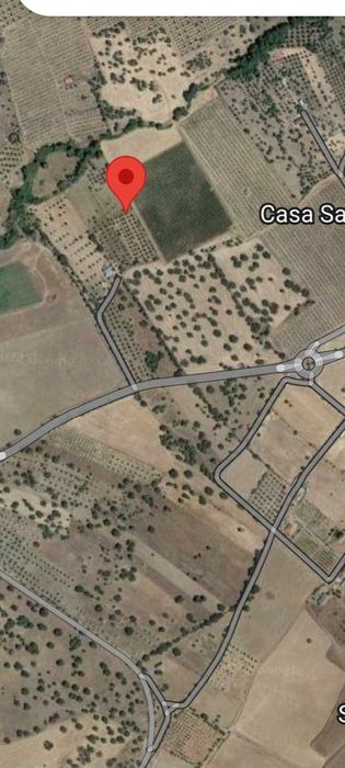 Excelente oportunidade  de ter um quinta junto au castelo de Monsaraz