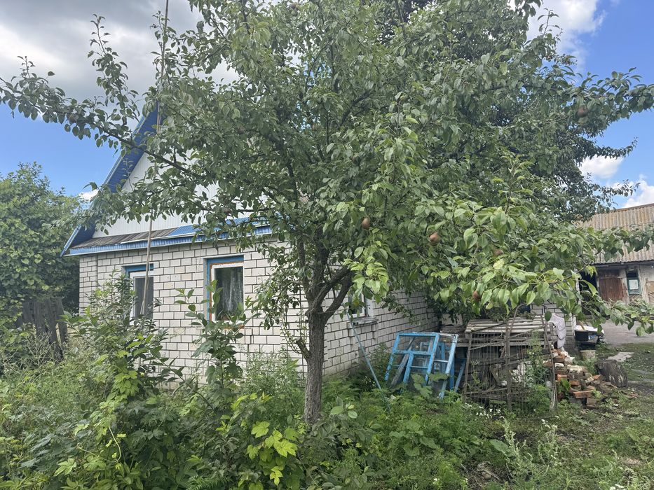 Продаж окремого будинку в с. Майстрів