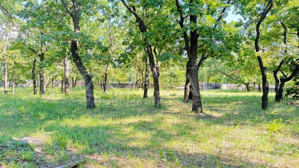 Продаж ділянки, 200 соток, с. Романків, Обухівський р-н