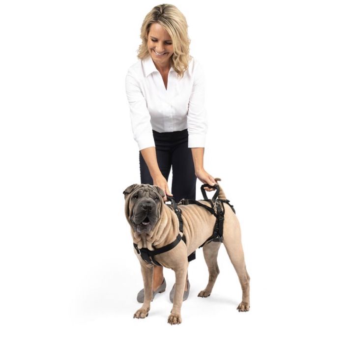 PetSafe peitoral suporte cães