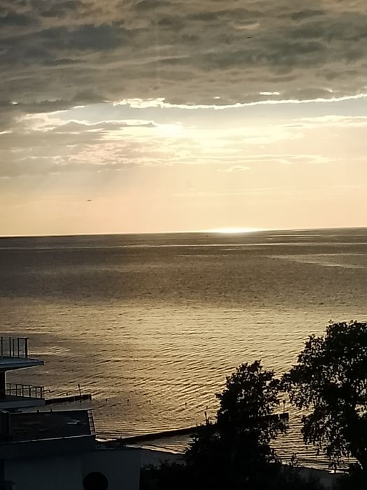 Sprzedam ziemię rolną 5 hektarów klasa 3b