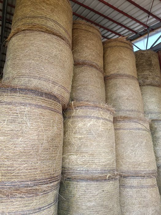 Sprzedam Siano 120x120