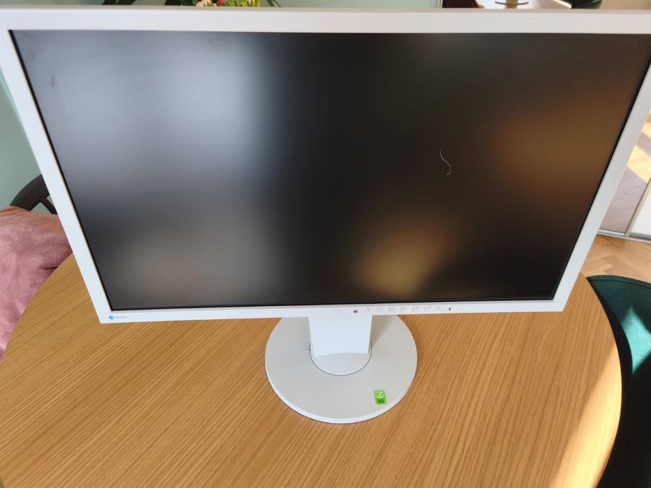 Monitor Eizo w pelni sprawny