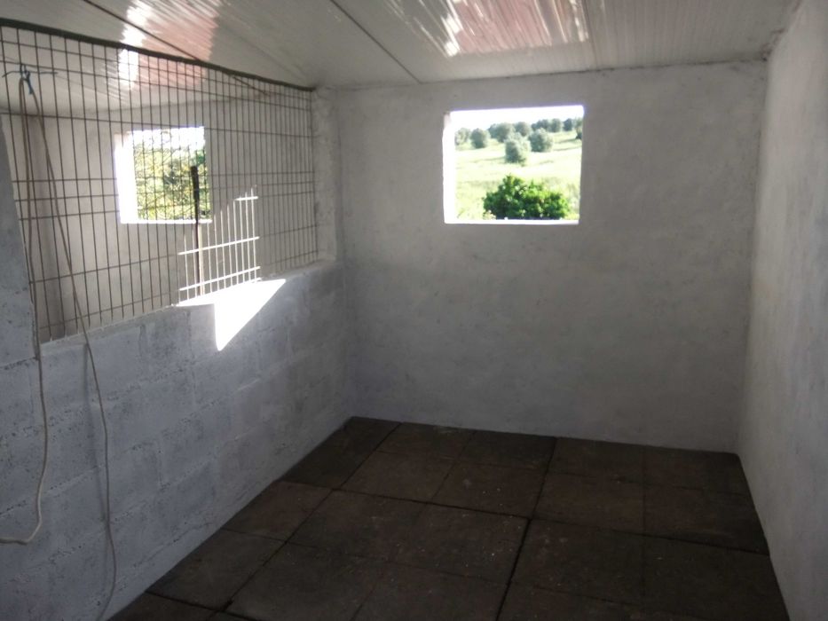 Cavalos a penso/Livery Yard (PT/EN)