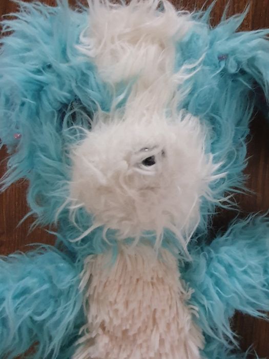 Pies piesek niebiesko biały z długą sierścią wydaje dźwięk szczekania