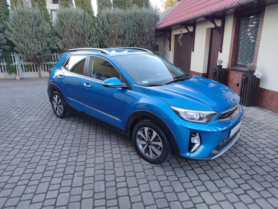 Kia stonic, salon Polska