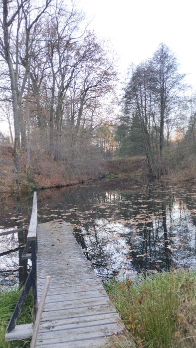 Działka ROD na sprzedaż