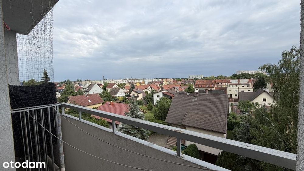 Zdjęcie 2