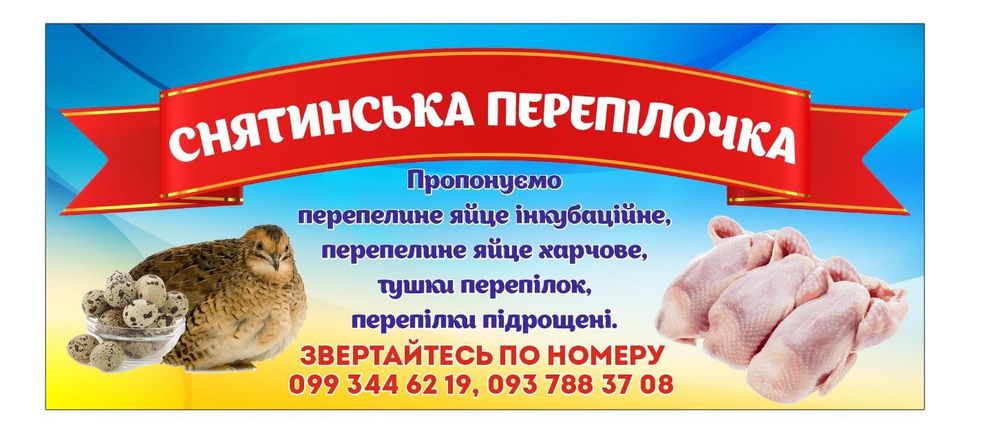 Яйці Перепілкі  ...