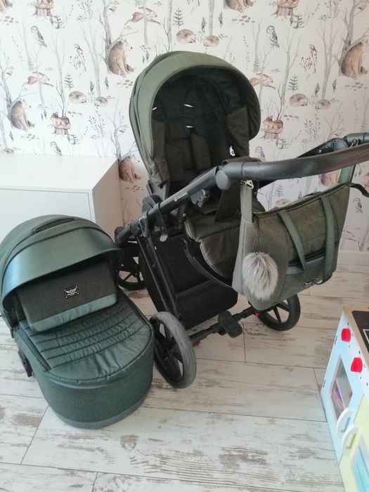 Adamex Gallo 2w1  green