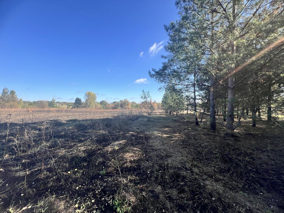 Продам земельну ділянку 20соток с.Сулимівка (дачний кооператив)