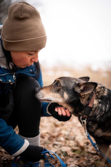 Master-spokojny psiak, stracił opiekuna, trafił do schroniska- adopcja