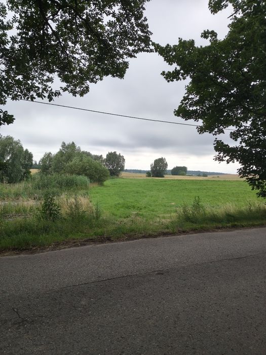 Siedlisko marzeń: 1,08 ha zarybionych stawów + 3399 m² budowlanej | 4 km od Sztumu
