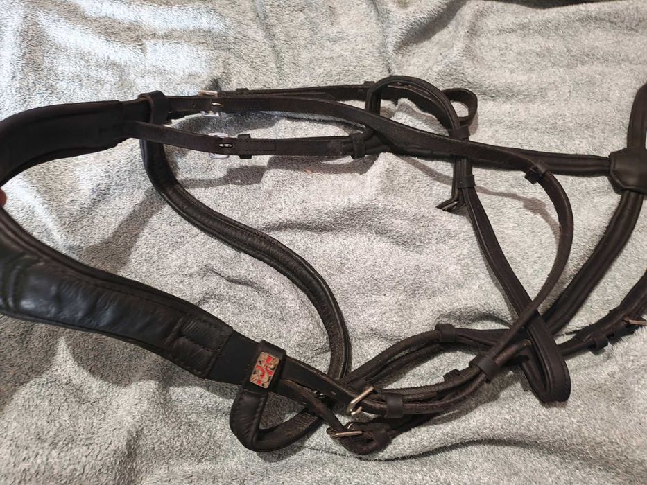 Ogłowie z miękkiej skóry Claridge House rozmiar Full, anatomiczne