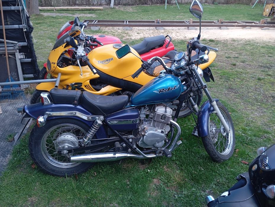 Triumph 955i 2000rok