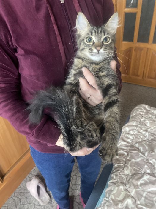 Лучший родарочек