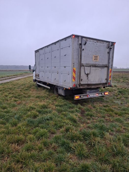 MITSUBISHI do przewozu zwierząt. Żywcówka.