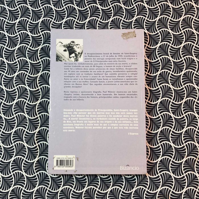 Saint-Éxupery: Vida e Morte do Principezinho - Paul Webster