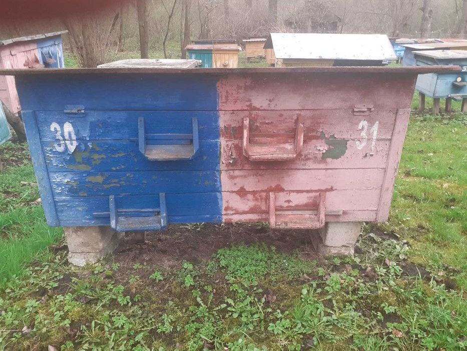 Продаються вулики