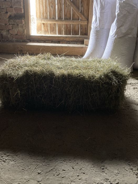 Продаються тюки сіна 2025 року