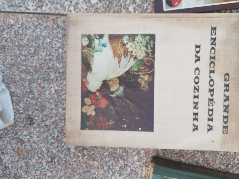 Vários livros de Maria Lourdes Modesto Desde10E-Rego Alfaia-5E Desde2E
