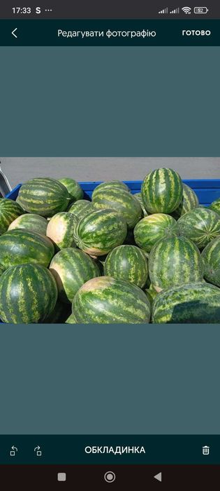 Продам Кавун сорт "Арашан".