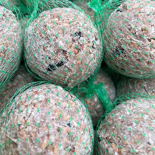 Kule zimowe tłuszczowe Karma zimowa 100 kul CHAMPI karmnik