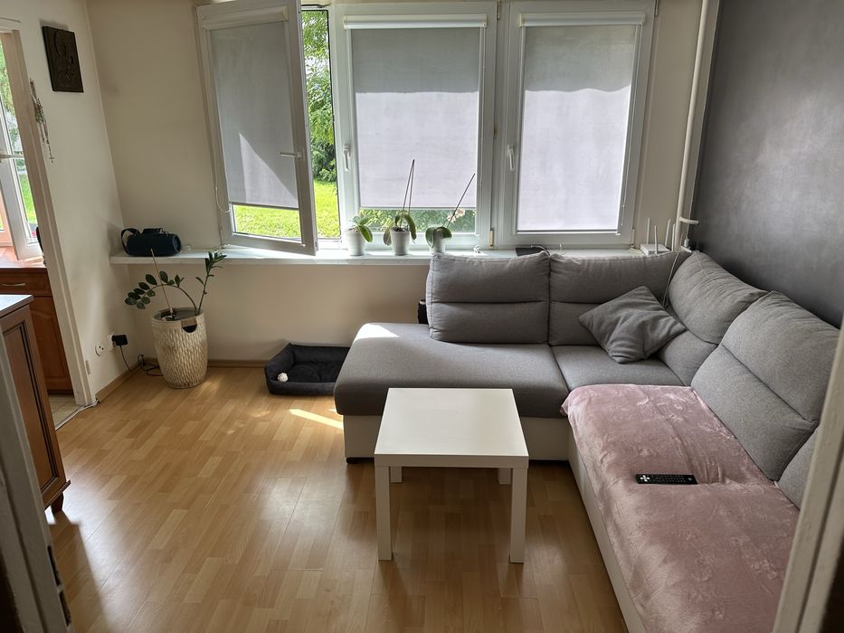 Wynajme mieszkanie Kazanów 32m2