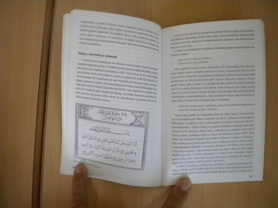 O Alcorão, compreender de Michael Cook