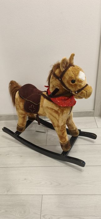 Koń na biegunach