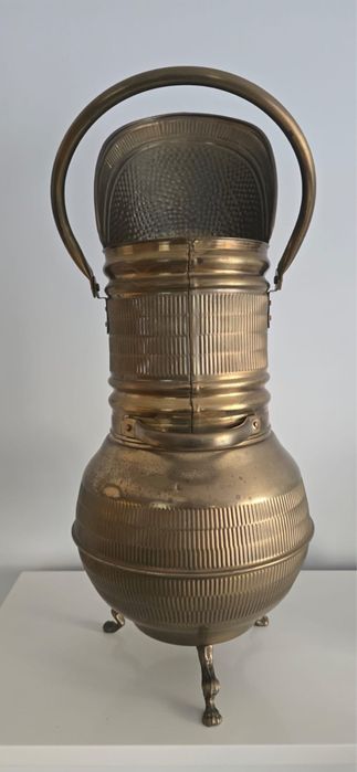 Parasolnik ozdobny