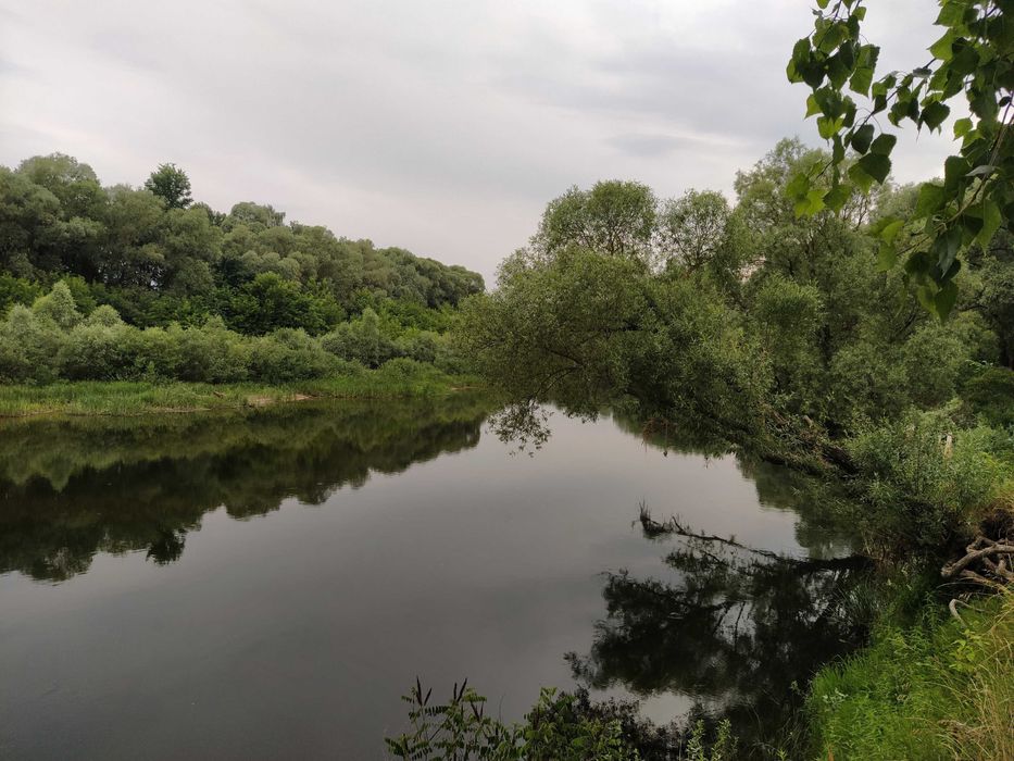 Будинок. Сумська обл. Конотопський р-н. с. Мутин