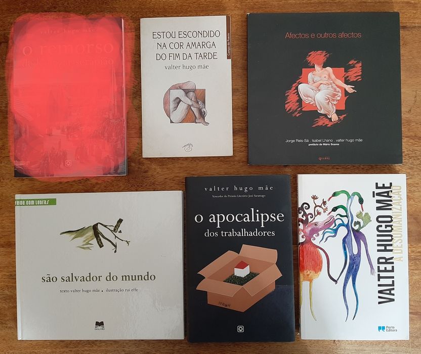 VALTER HUGO MÃE primeiras edições