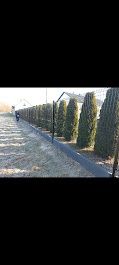 Zapraszamy ogrodzenia panelowe!!! 95za1mb
