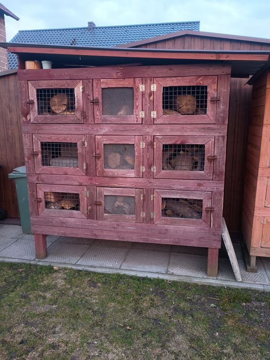 Sprzedam kloty na kroliki